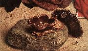 GOES, Hugo van der, Monforte Altarpiece (detail)